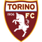 Torino logo